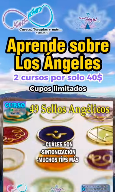 campaña12